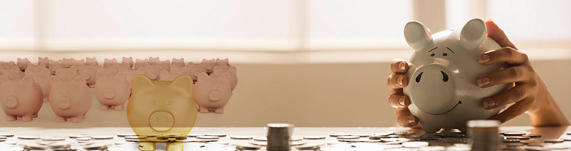 Fixed Depost Plan, Fixed Deposit Scheme Interest by KGVJS Nidhi Limited